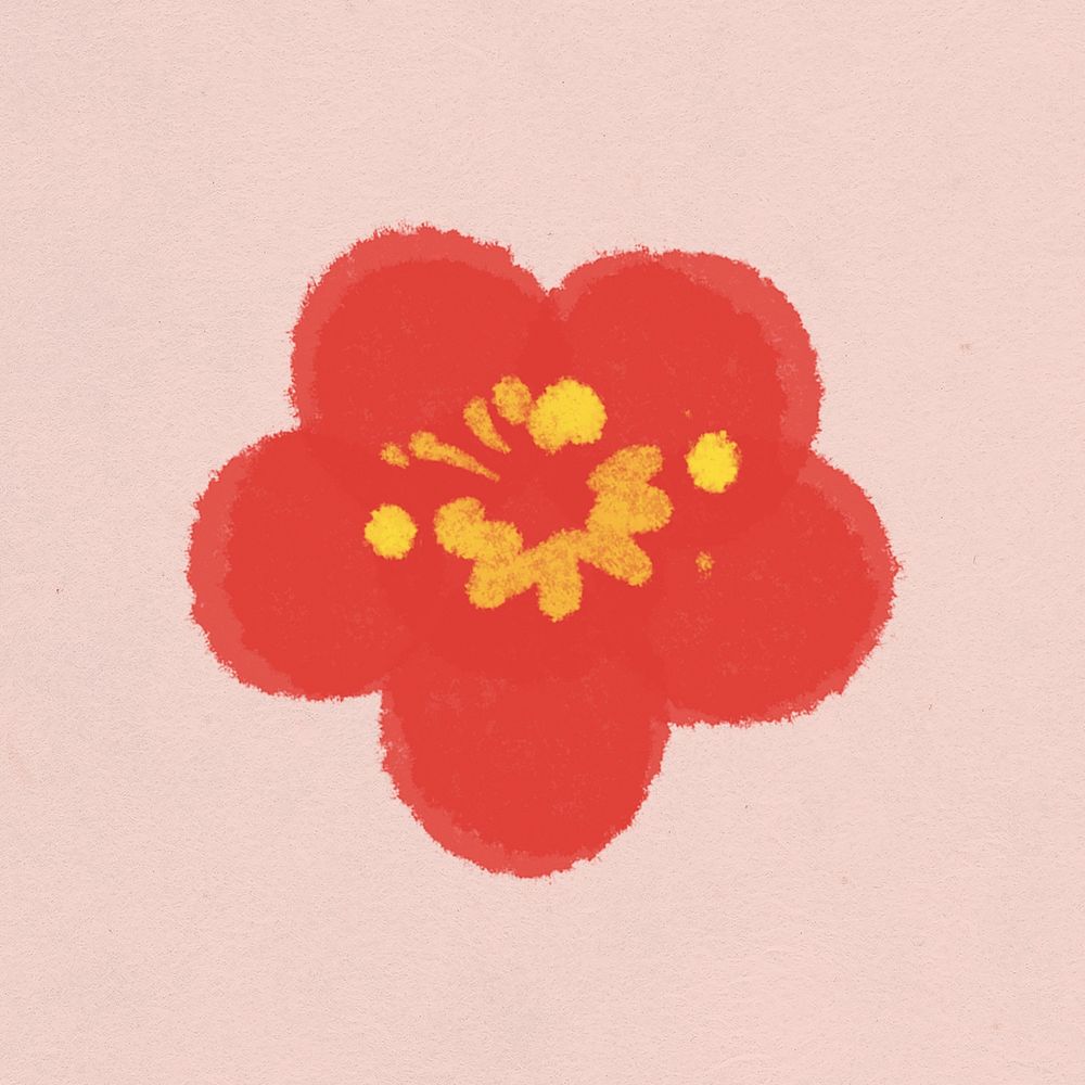 Plum blossom flower botanical illustration