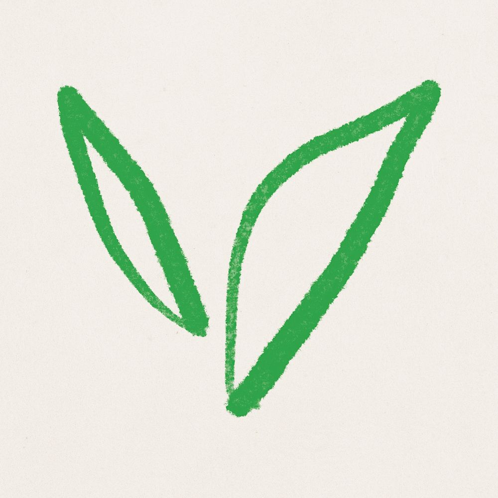 Green leaf psd botanical hand drawn