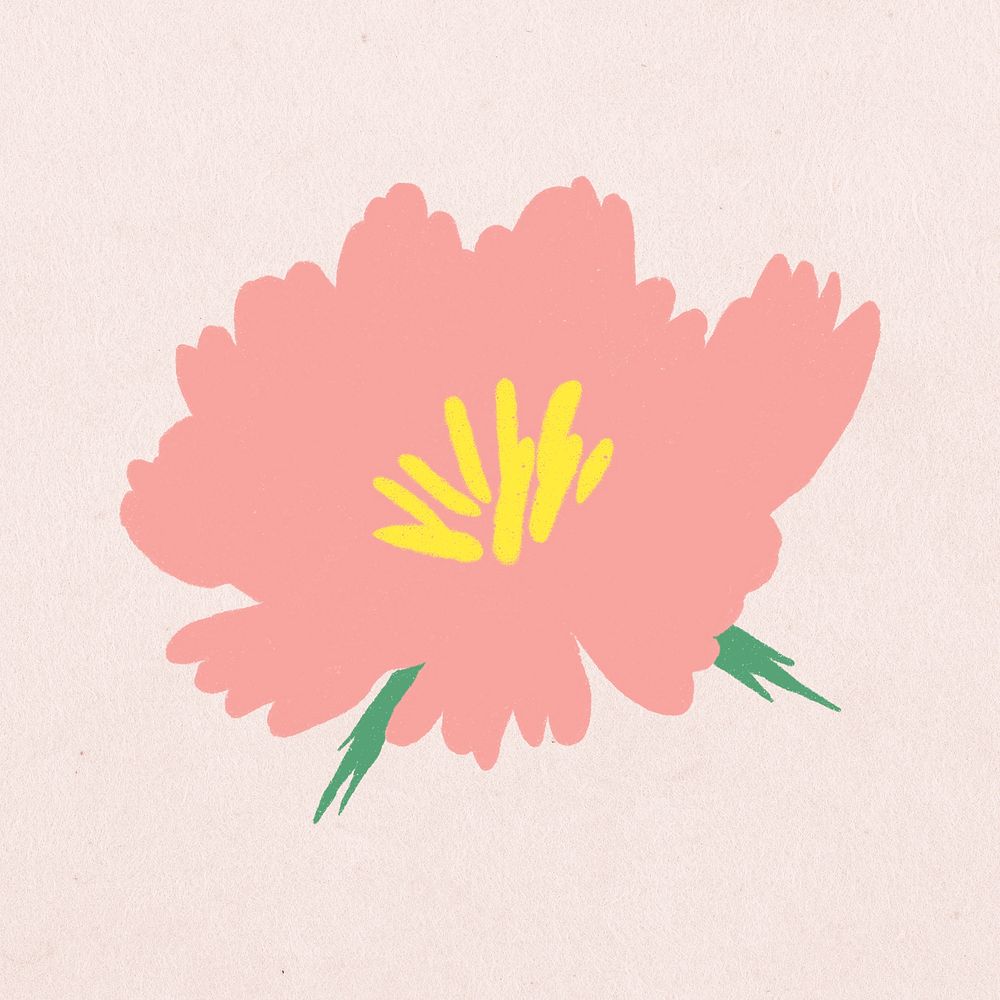Pink flower hand drawn botanical illustration