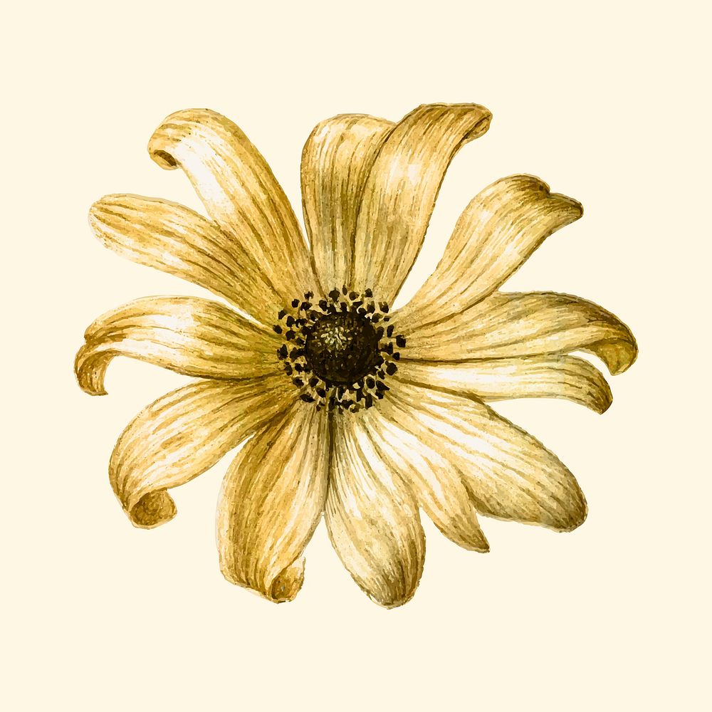 Gold metallic vector sunflower vintage illustration sticker