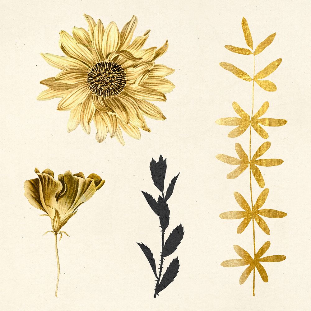 Vintage psd leaf and flowers golden botanical sticker collection