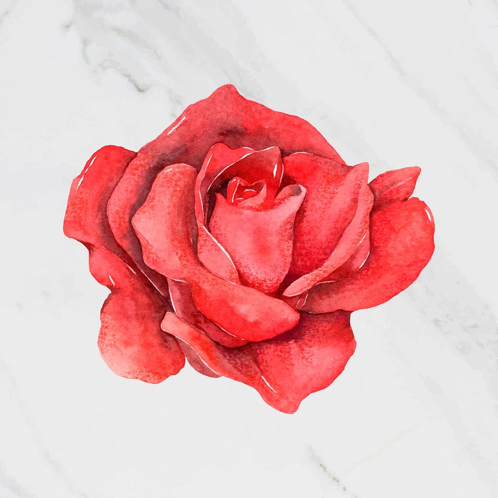 Red rose flower vintage vector