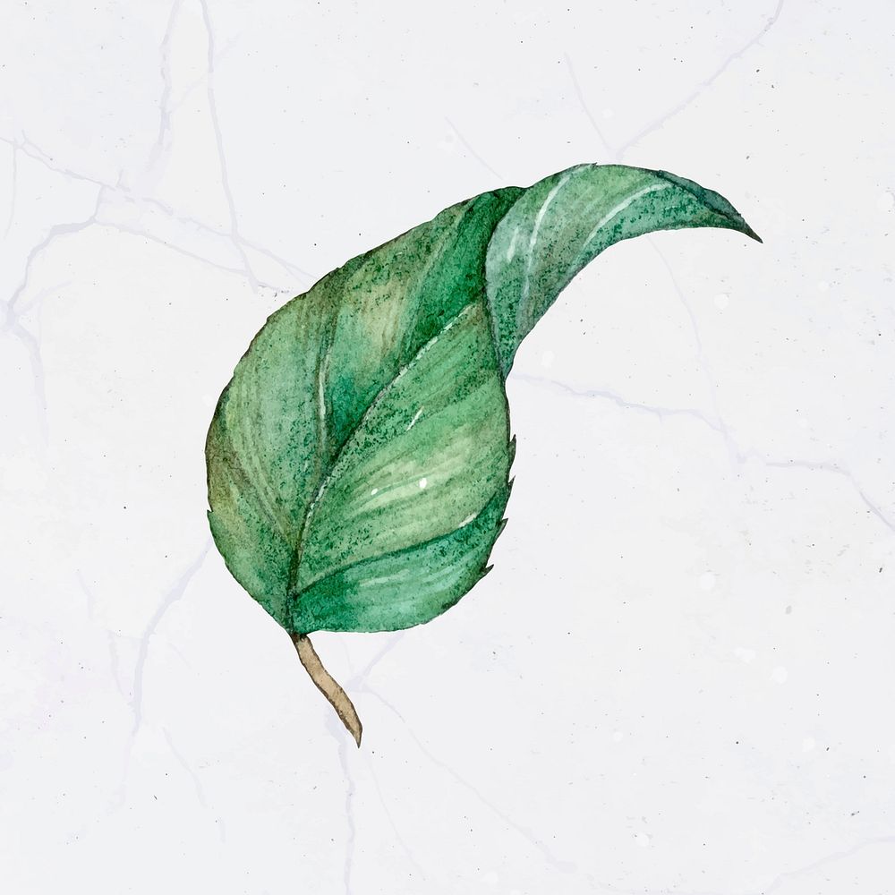 Painting vintage leaf vector clipart