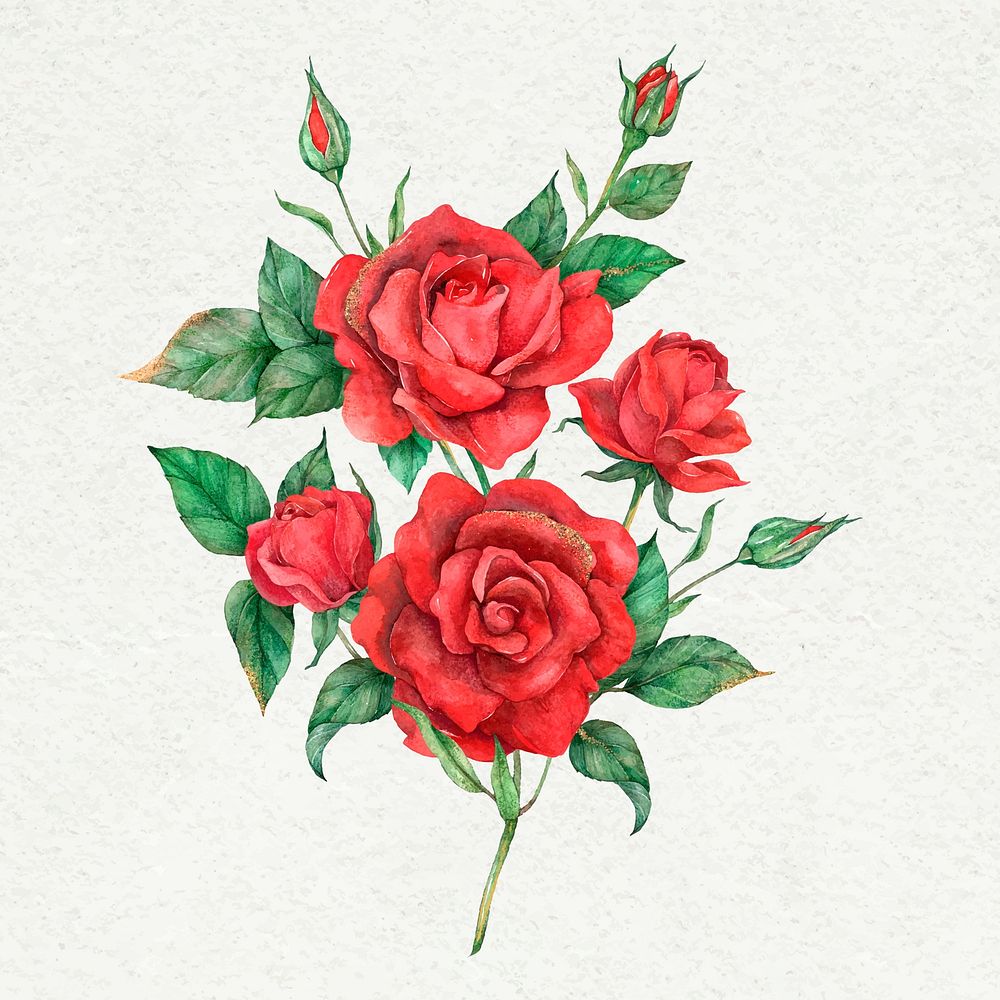 Hand drawn vector red rose flower