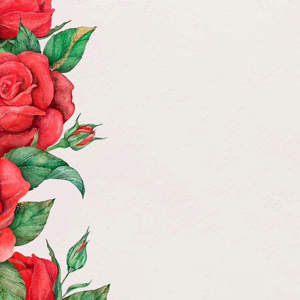 Blooming red rose border vector background