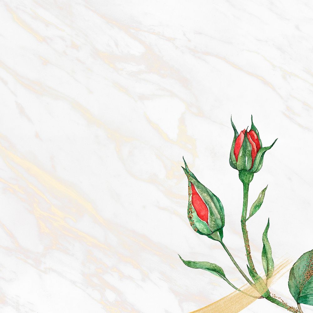 Rose border frame social media background hand drawn flower illustration
