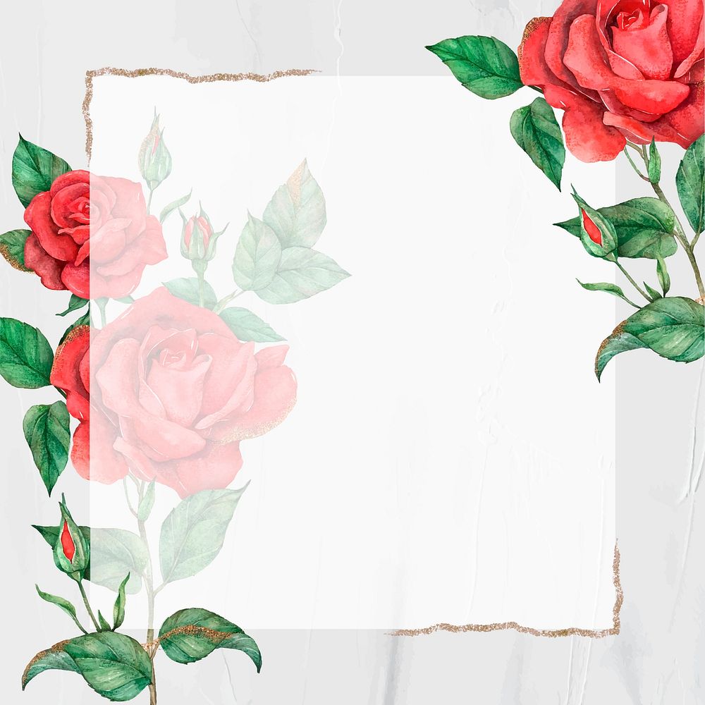 Red rose vector gold border frame