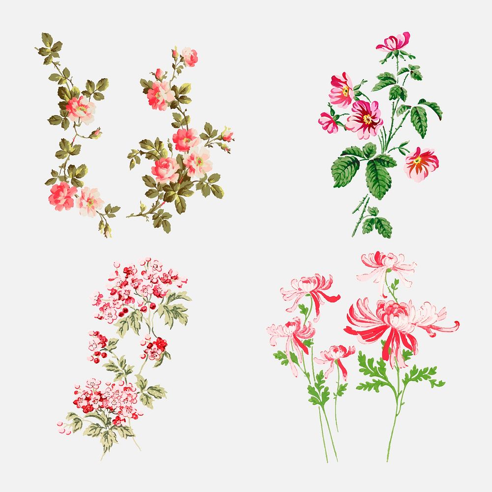 Vector colorful flower illustration set