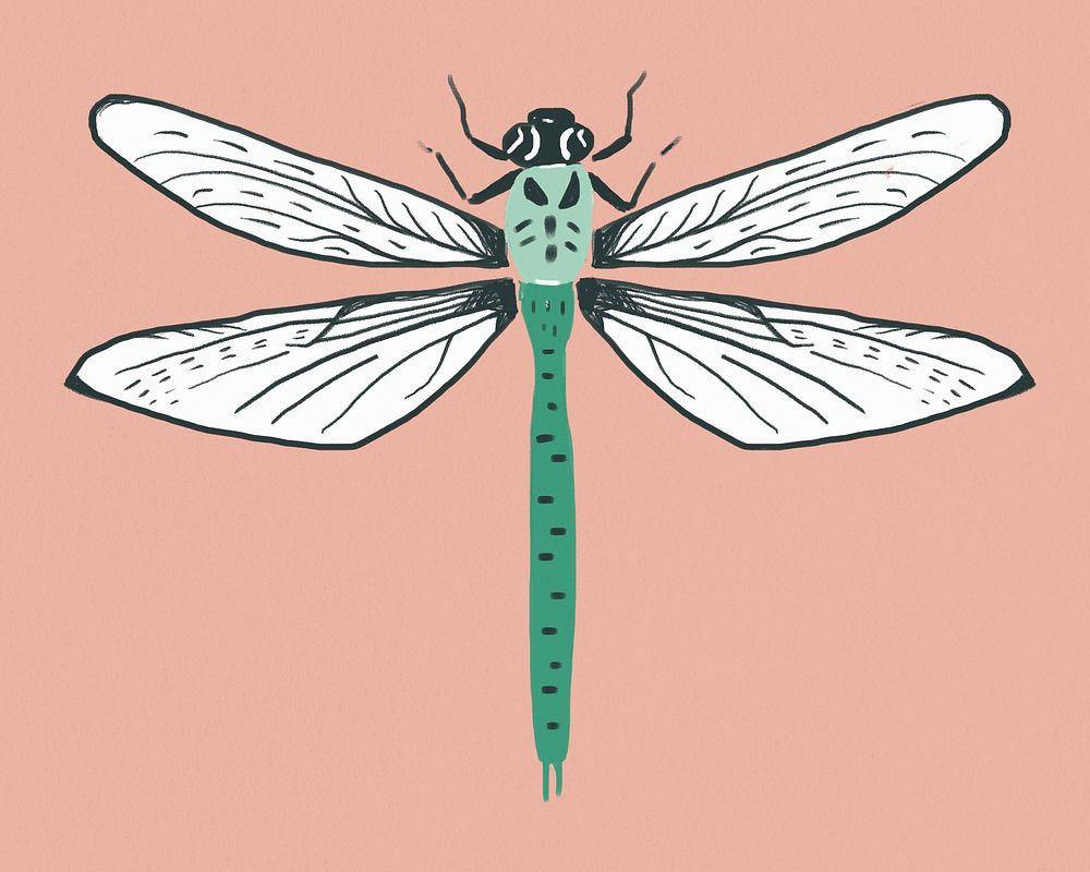 Vintage dragonfly psd insect stencil pattern