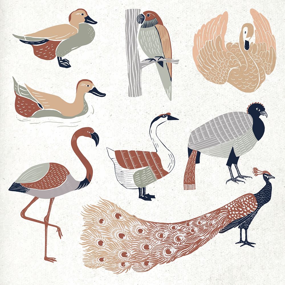 Vintage wild birds vector linocut drawing set