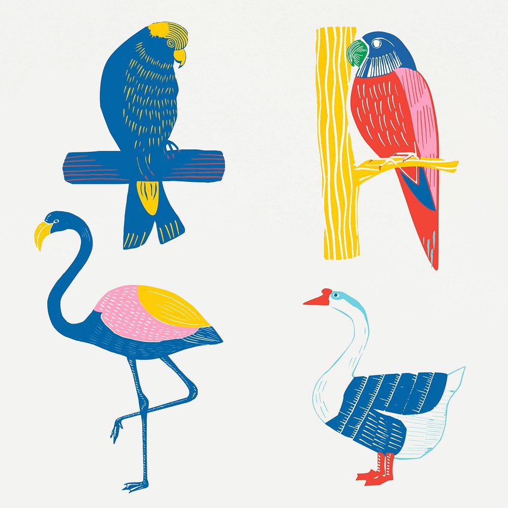 Vintage wild birds vector illustration collection