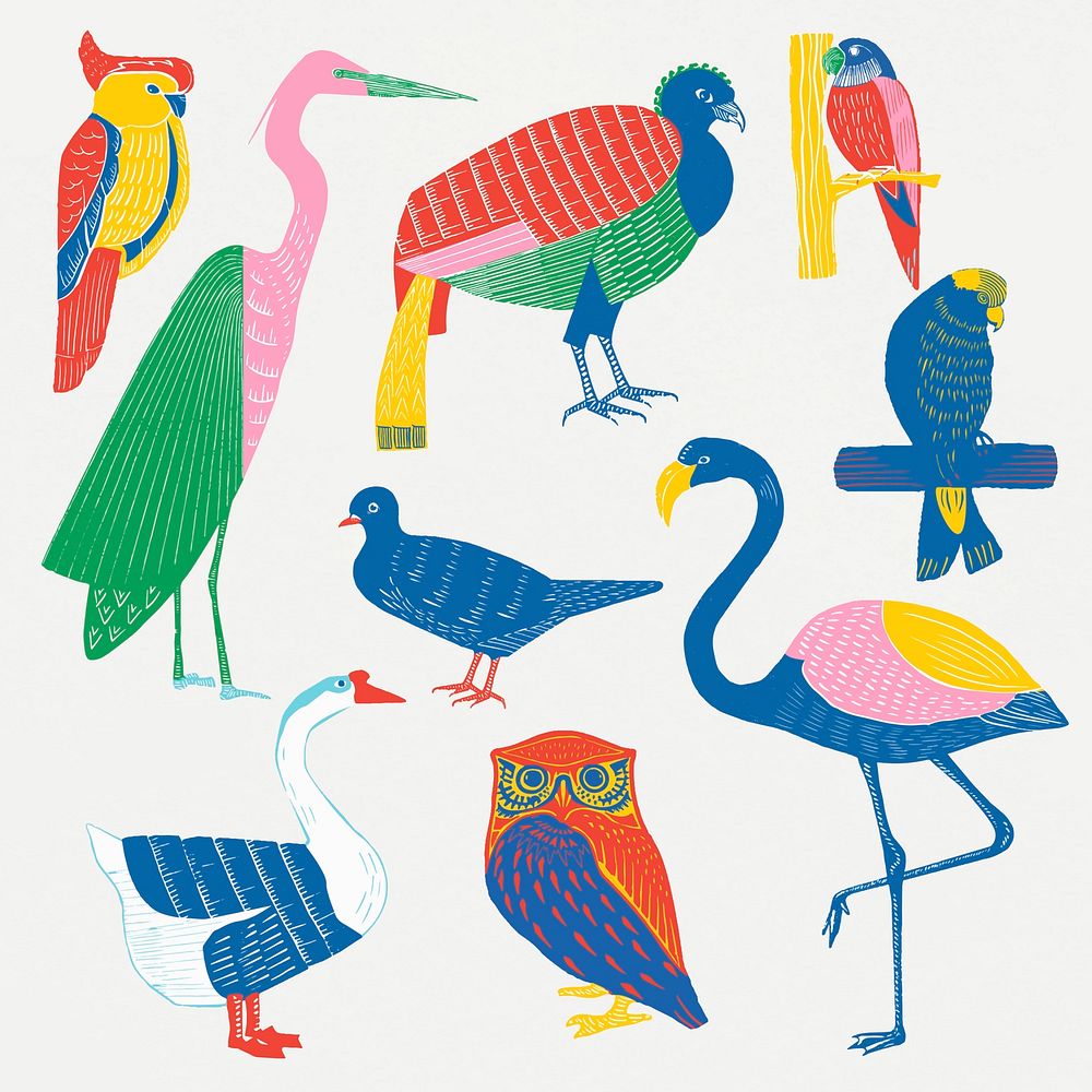 Vintage wild birds vector illustration set