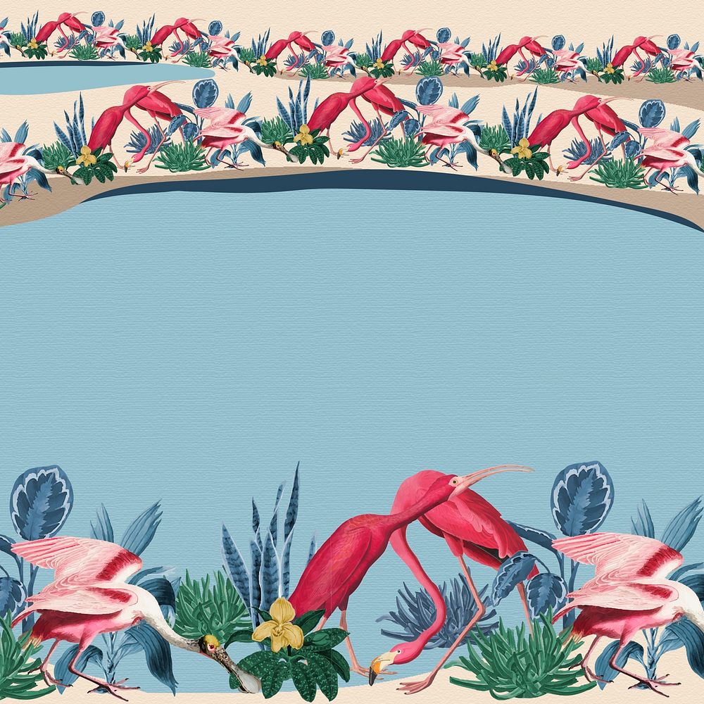 Tropical flamingo border vector frame blue background