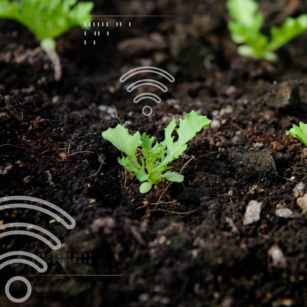 Smart agriculture 5.0 green plant product farming technology social media banner