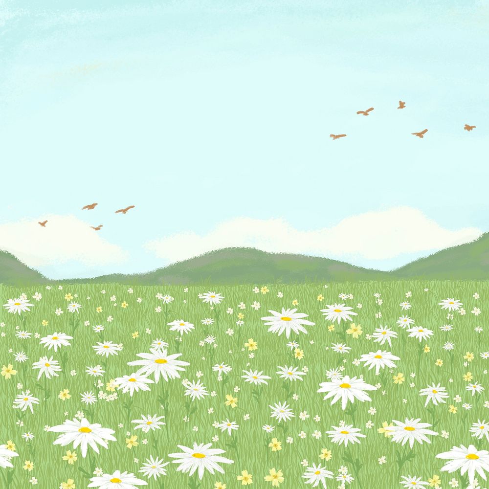 Blooming daisy field background with mountain social media post