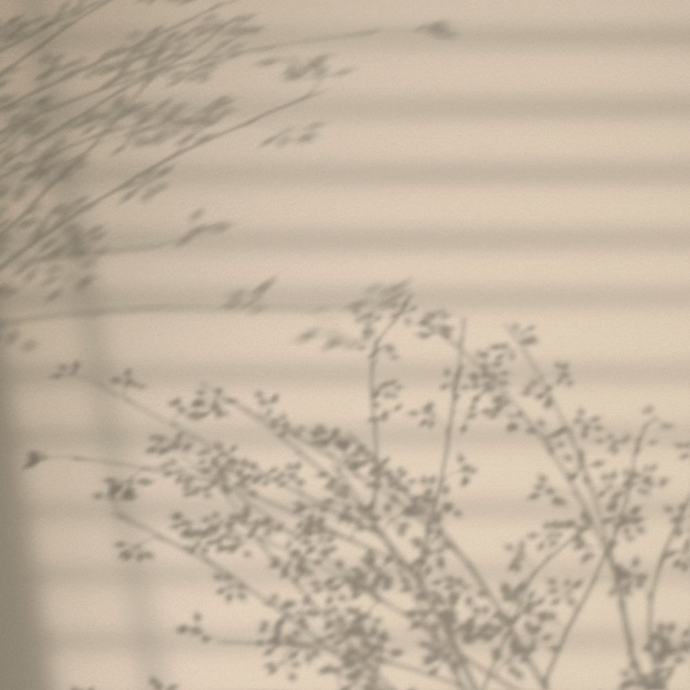 Background with floral branch and window shadow