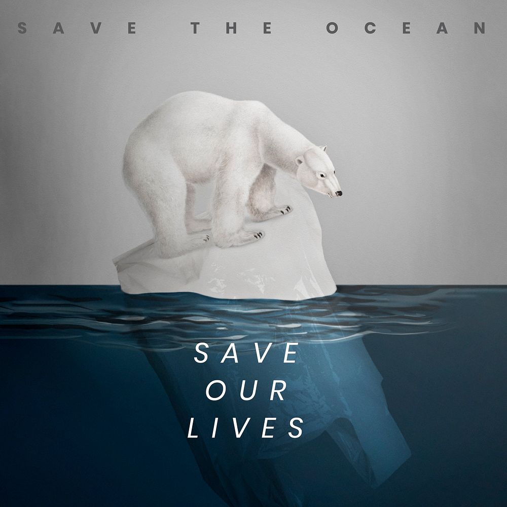 Polar bear standing on melting iceberg animal extinction campaign