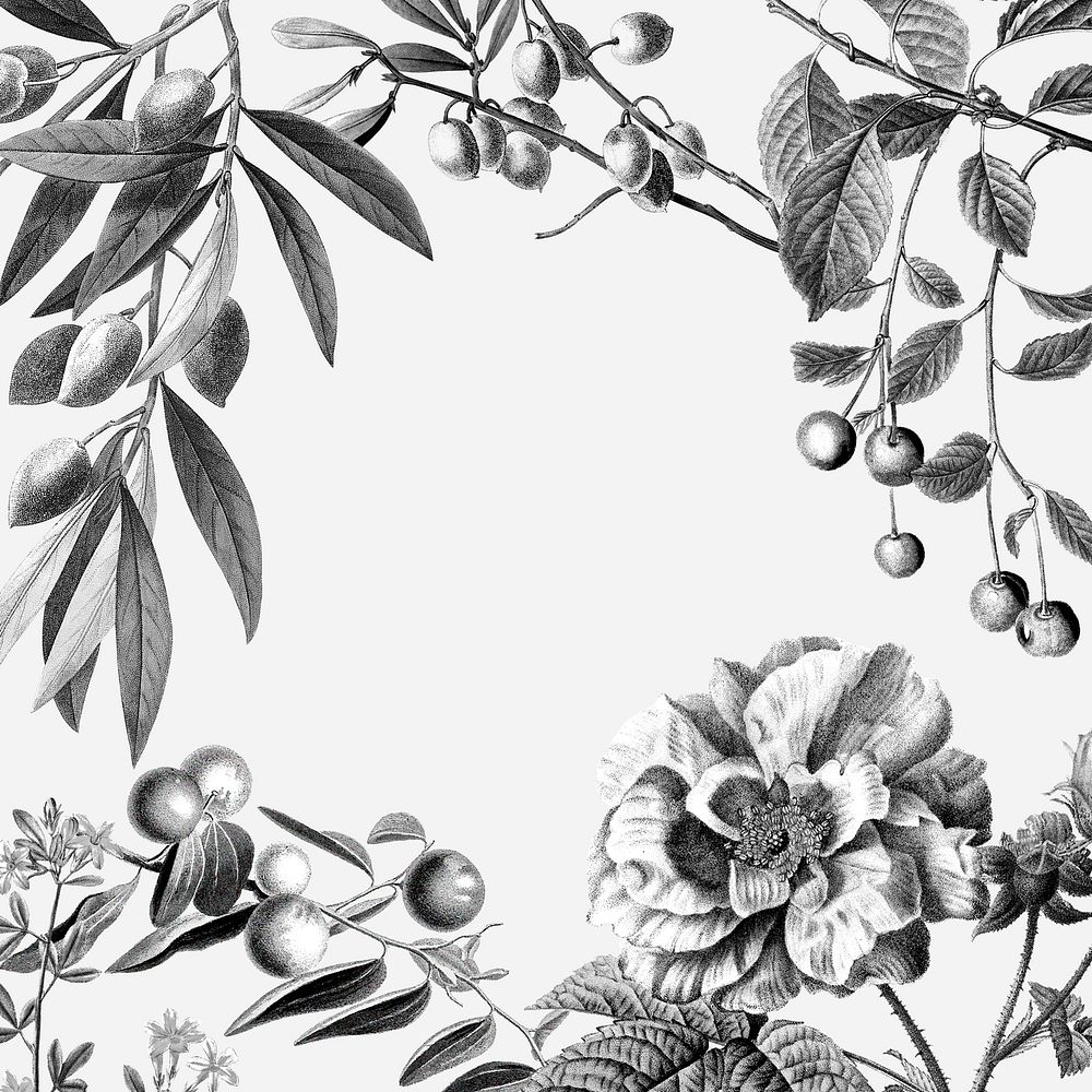 Rose frame vintage floral illustration and fruits on white background