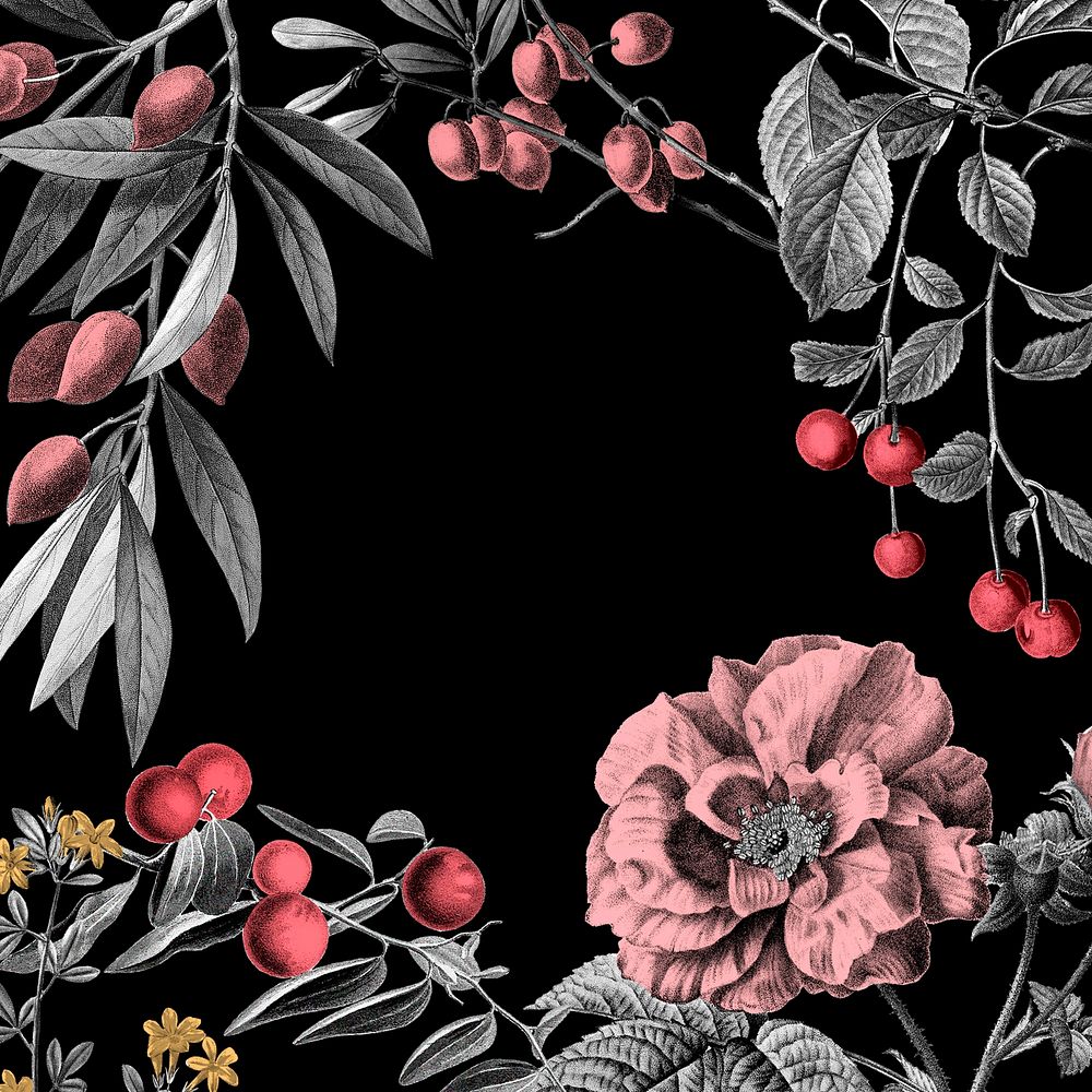 Rose frame vintage floral illustration and fruits on black background