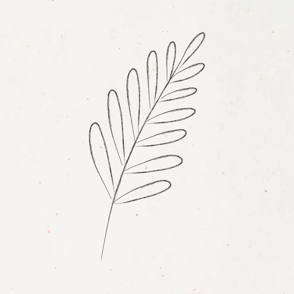 Minimal doodle leaf on beige background