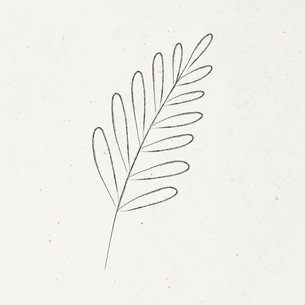 Minimal doodle leaf psd on beige background