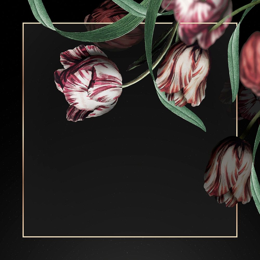 Gold frame vector with tulip border on black background