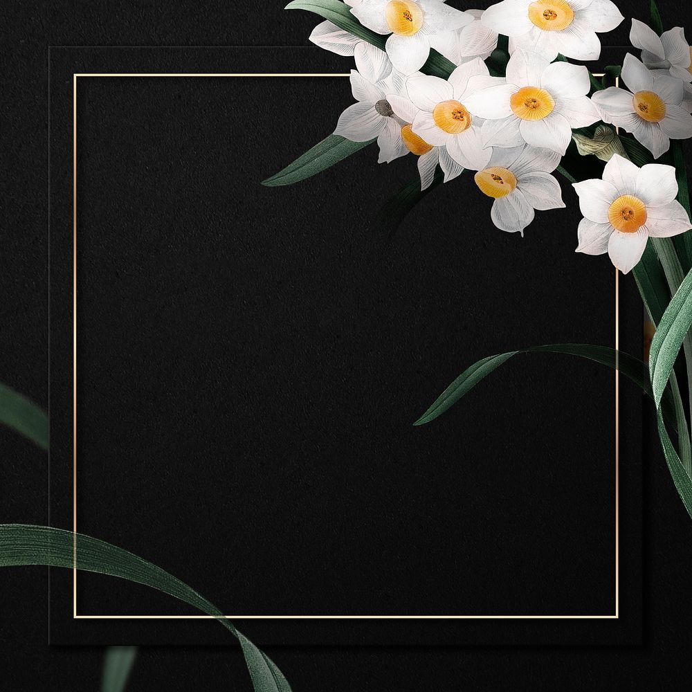 Gold frame with daffodil border on black background