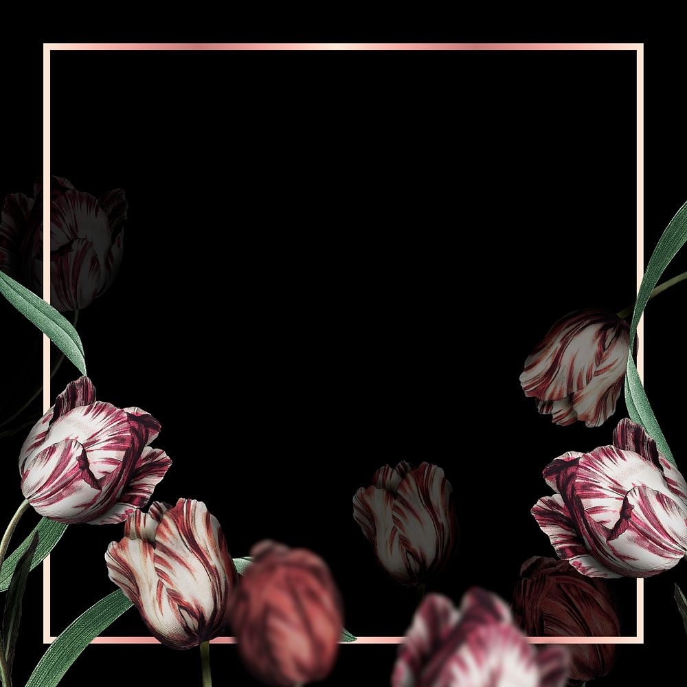 Tulip border frame on black background