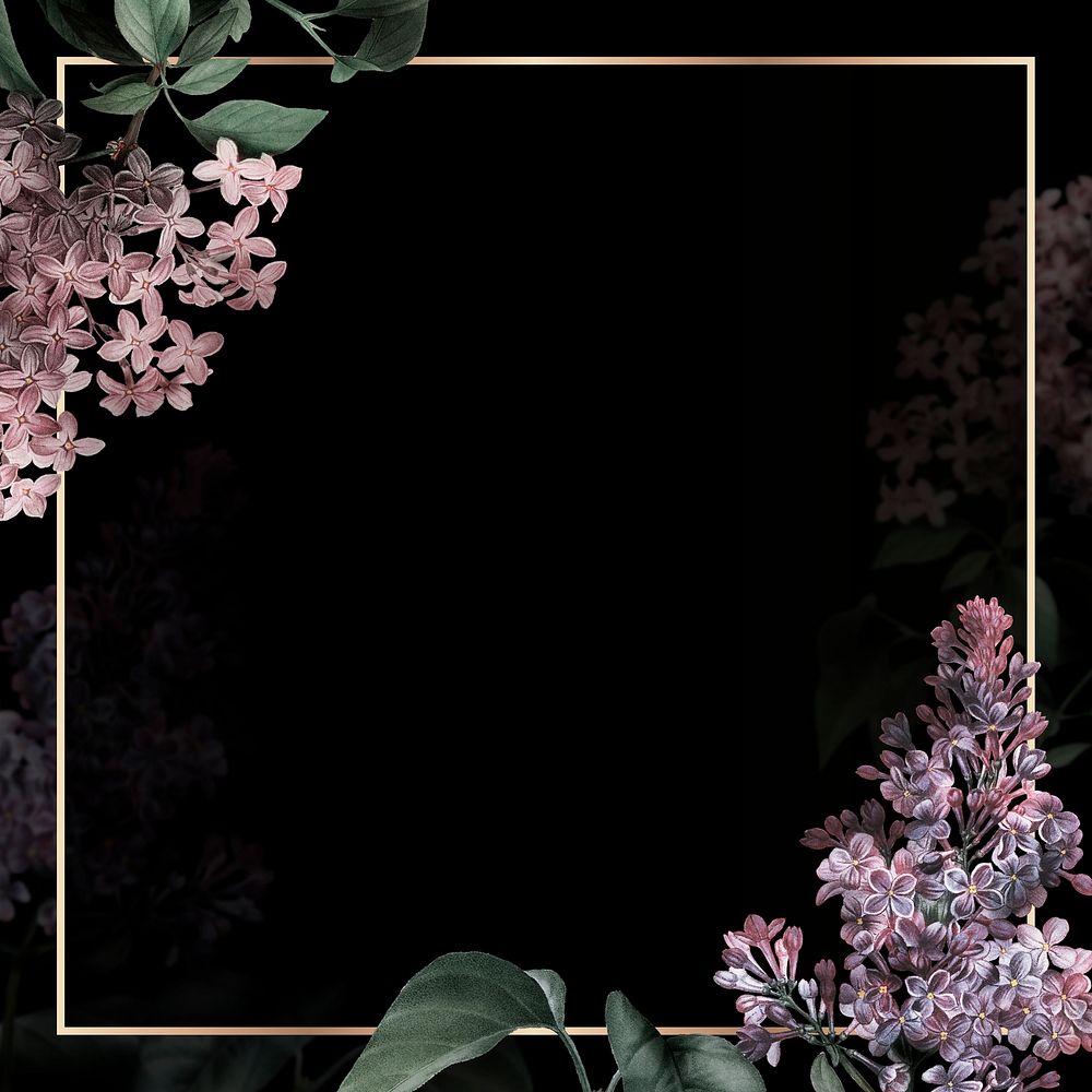 Lilac border frame on black background
