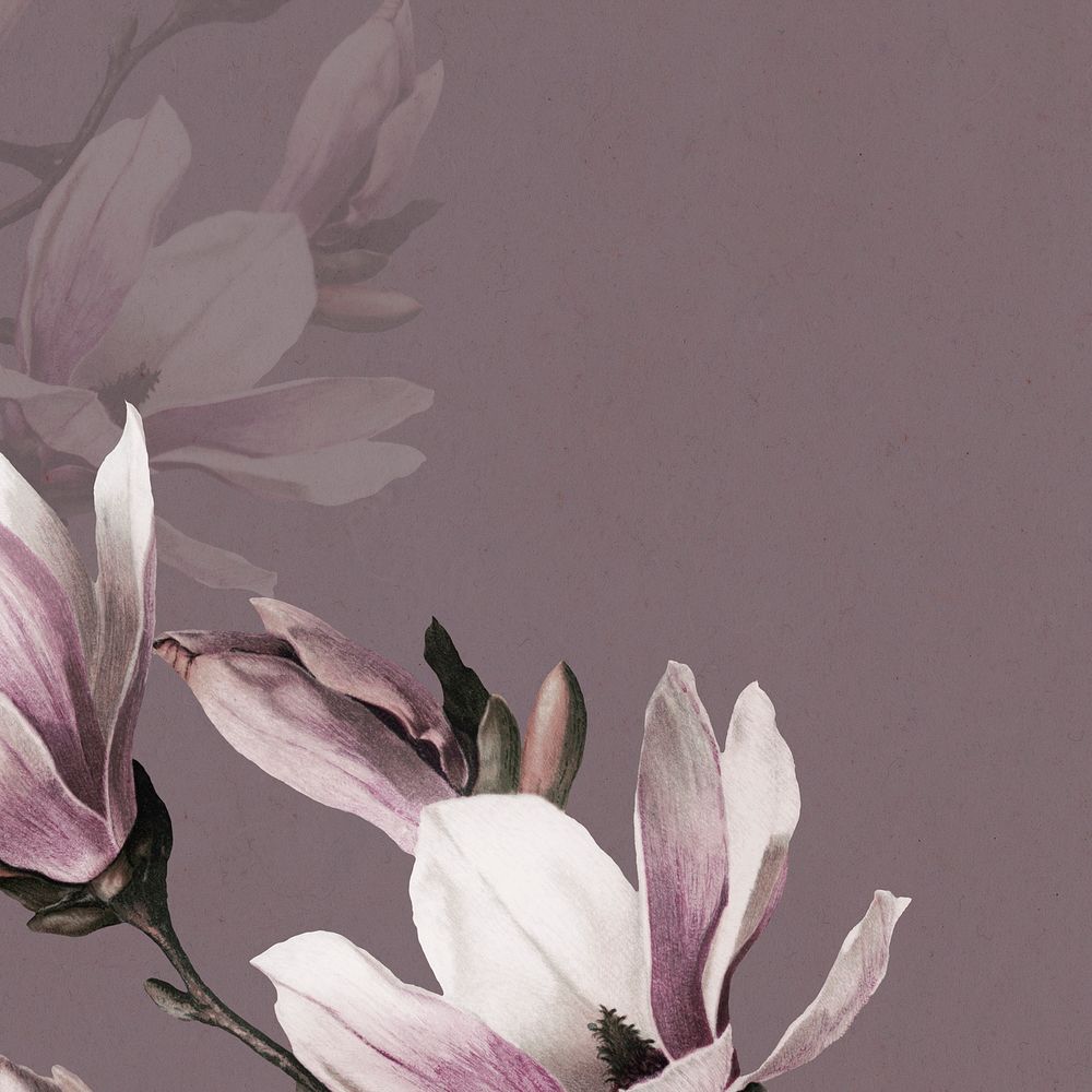 Magnolia border on purple background