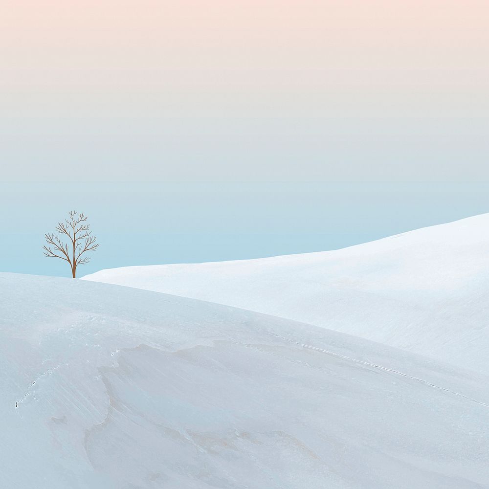 Creative background of minimal winter landscape with a bare tree