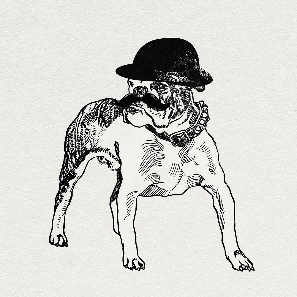 Pit-bull dog psd sticker with bowl hat, remixed from artworks by Moriz Jung