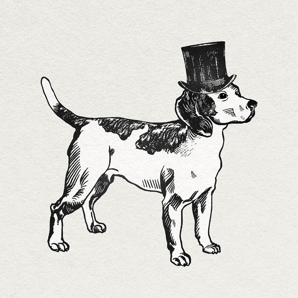 Vintage beagle dog graphic with top hat