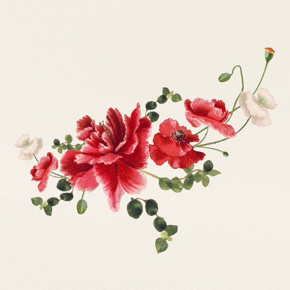 Vintage summer flower illustration, remixed from public domain artworks