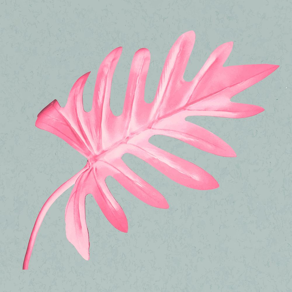 Pink xanadu leaf vector illustration