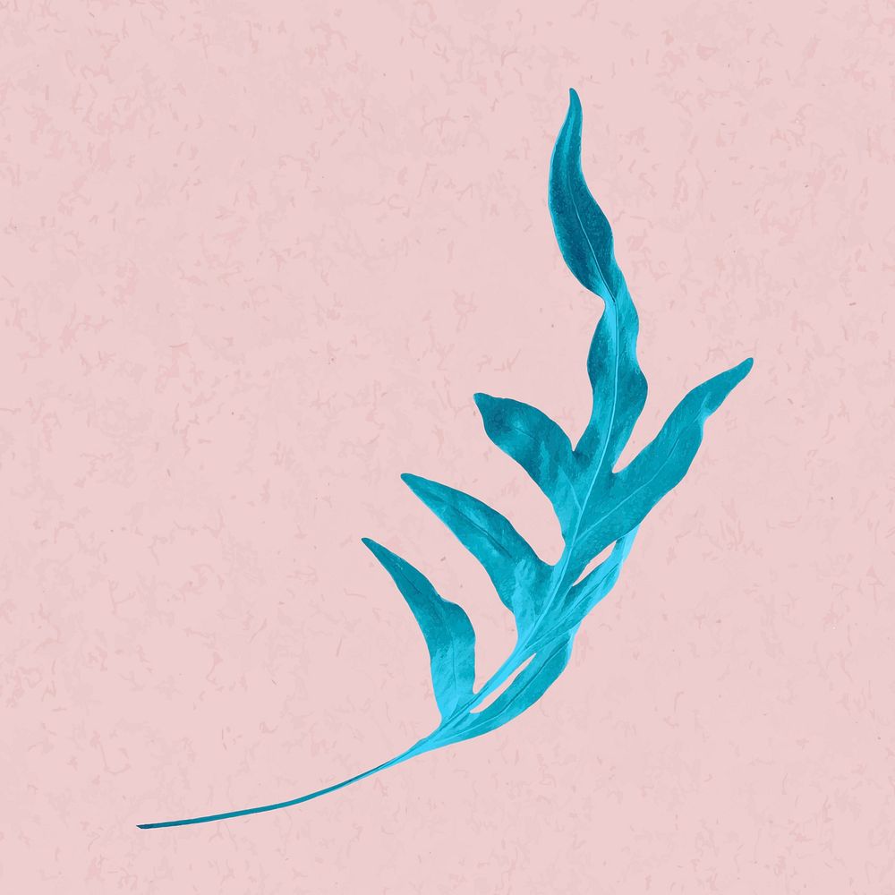 Blue arrowhead fern leaf vector illustration