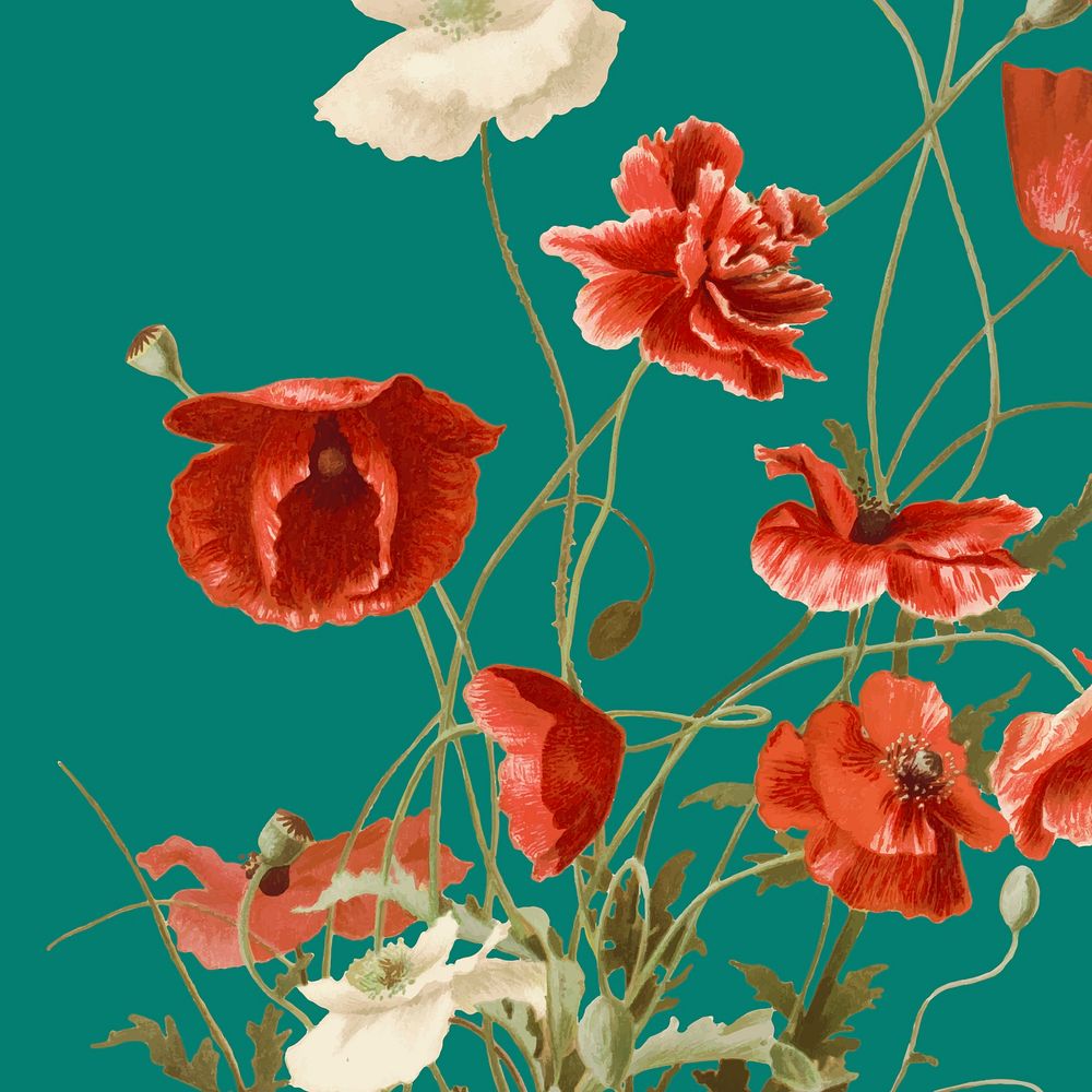 Red poppy background vector illustration, remixed from public domain artworks