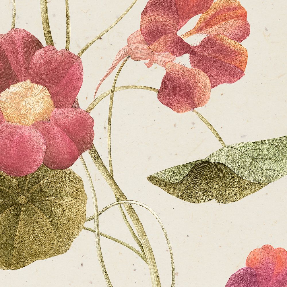 Vintage monk's cress flower background illustration, remixed from public domain artworks