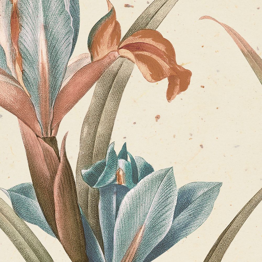 Vintage iris flower background illustration, remixed from public domain artworks