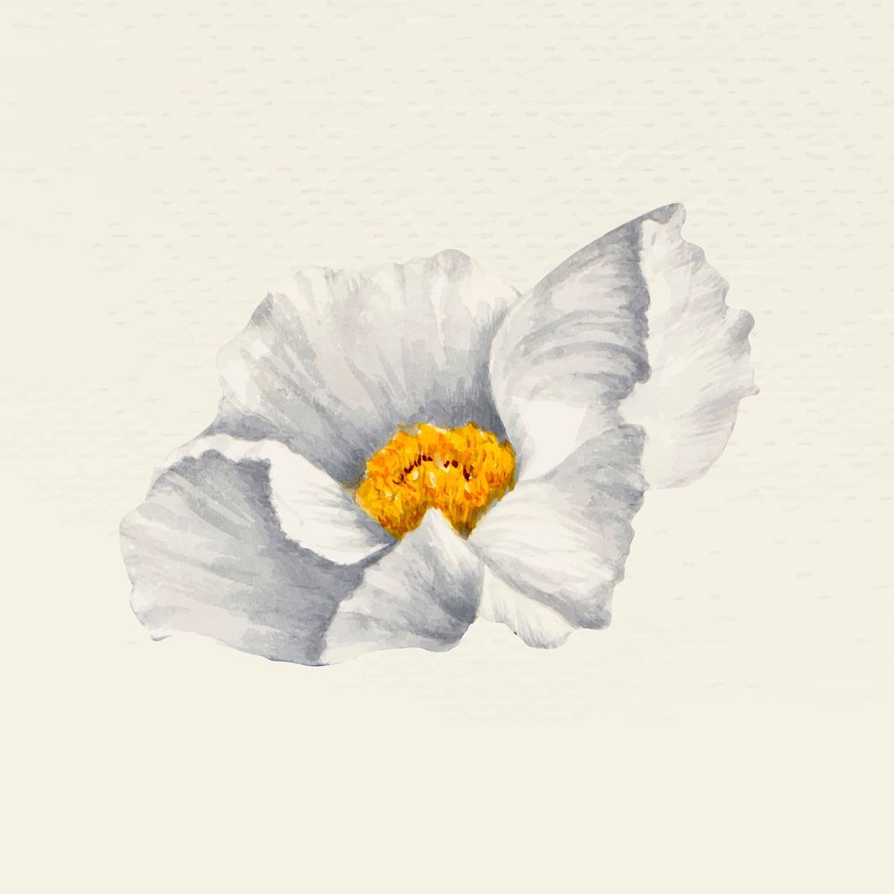 Vintage white flower vector illustration, remixed from public domain artworks