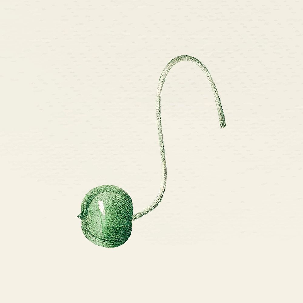 Vintage green flower bud vector illustration, remixed from public domain artworks