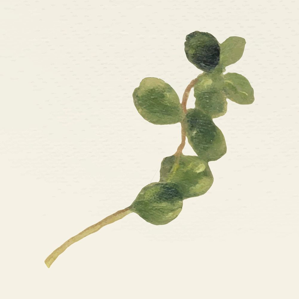Vintage green leaf vector illustration, remixed from public domain artworks