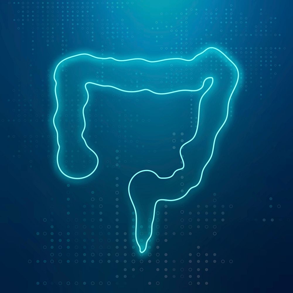 Blue intestine icon vector for digestive system healthcare