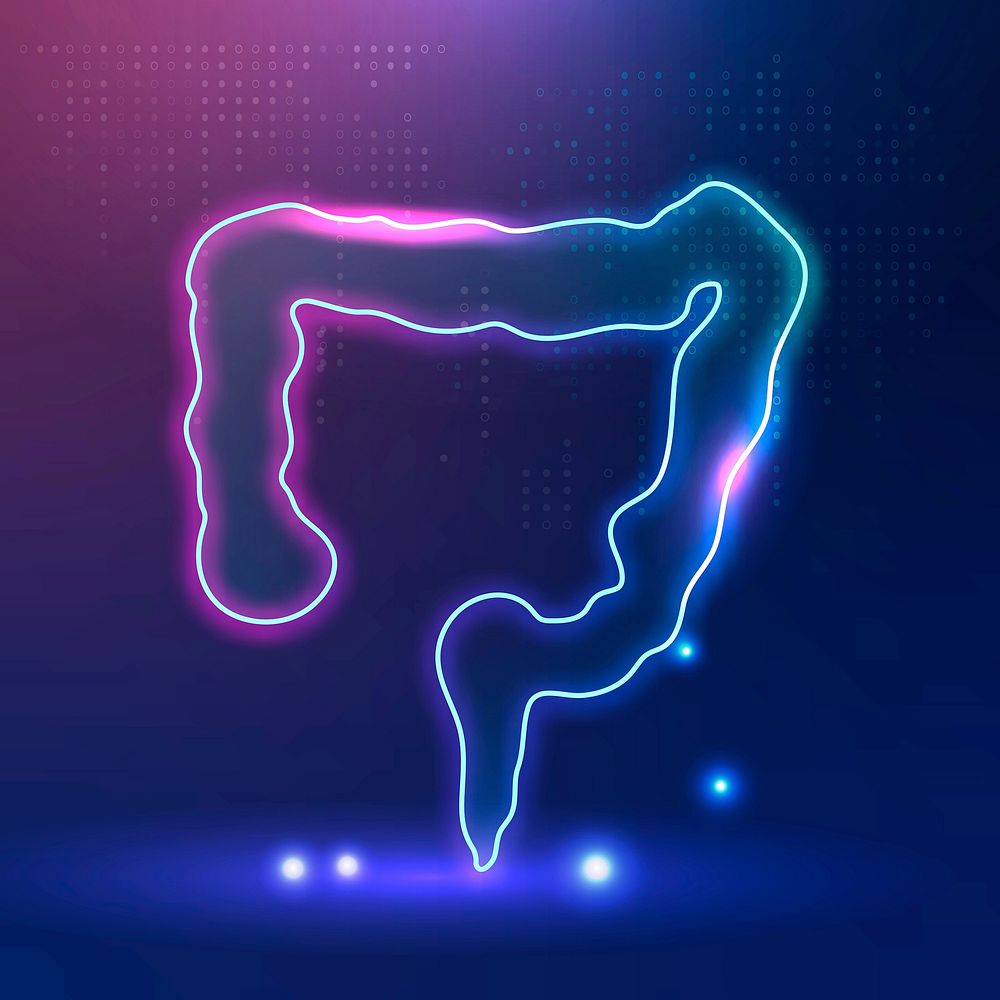 Intestine icon vector for digestive system healthcare
