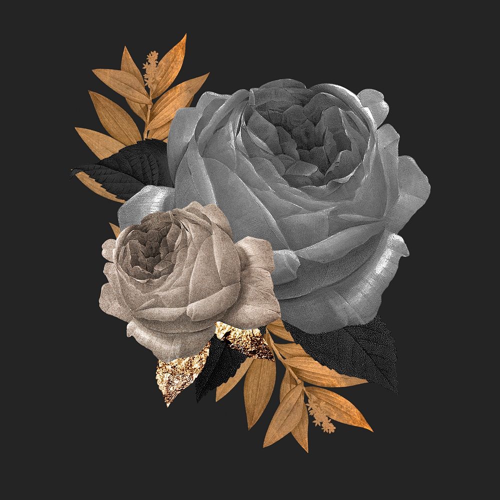Aesthetic rose flower illustration, remixed from vintage public domain images
