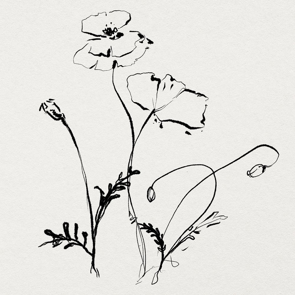 Flower line art illustration, remixed from vintage public domain images
