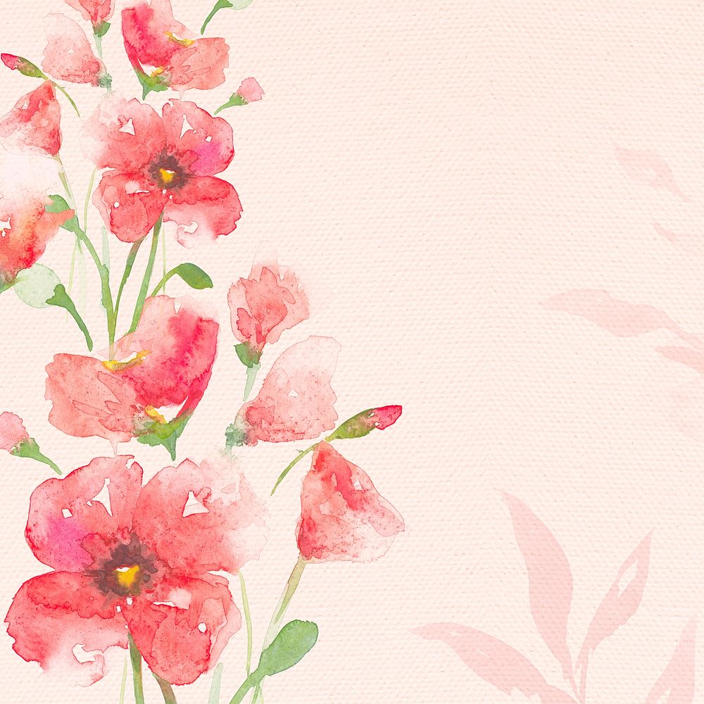 Poppy watercolor border flower background in pink spring season