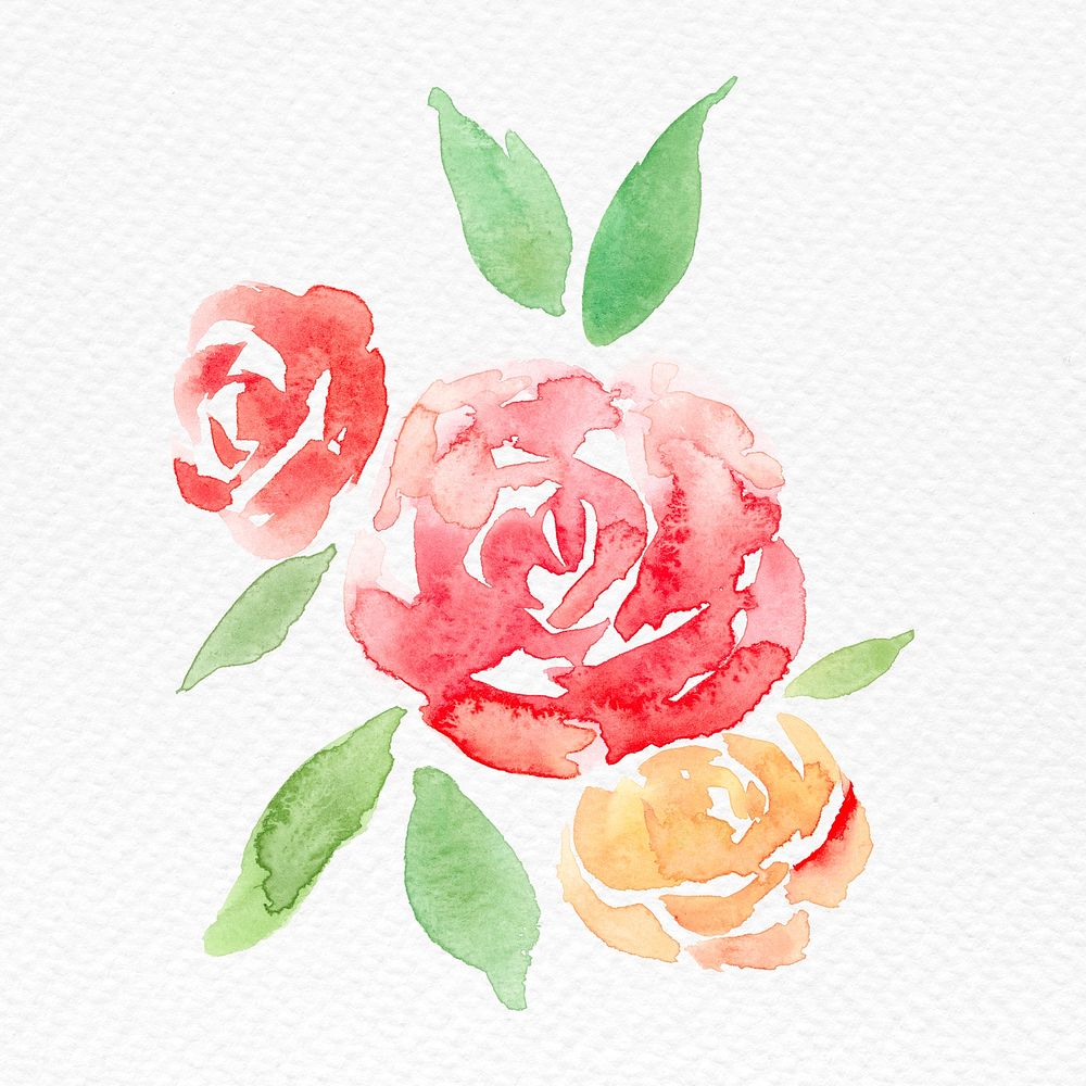 Pink rose flower watercolor spring seasonal graphic