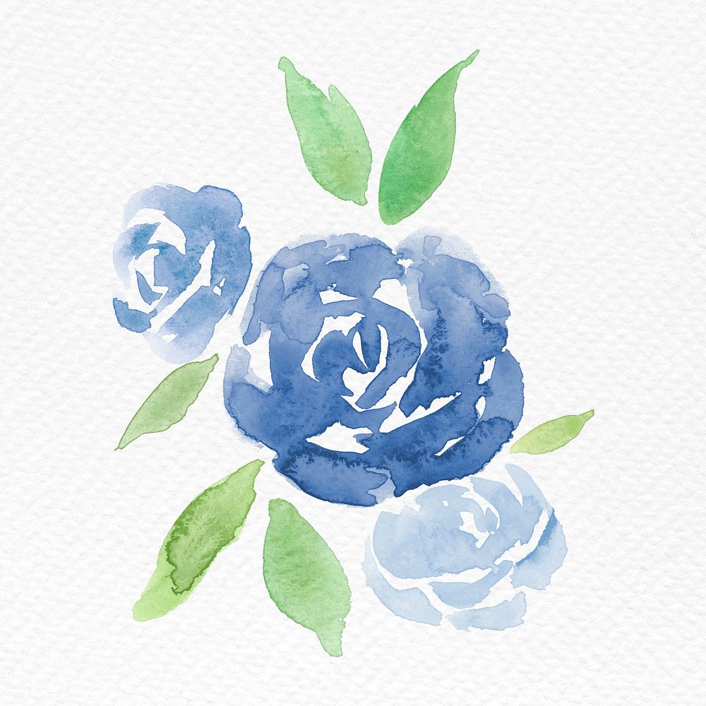 Blue rose flower watercolor spring seasonal graphic
