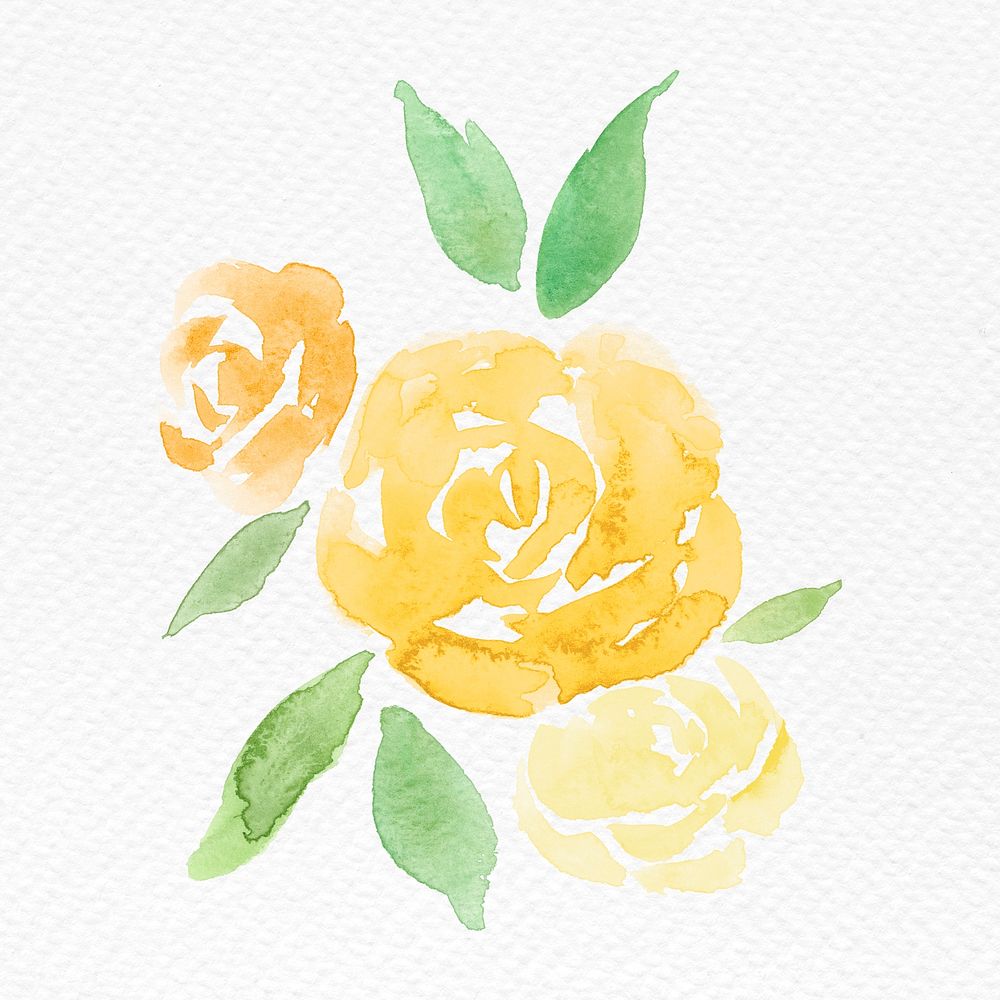 Yellow rose flower watercolor spring seasonal graphic